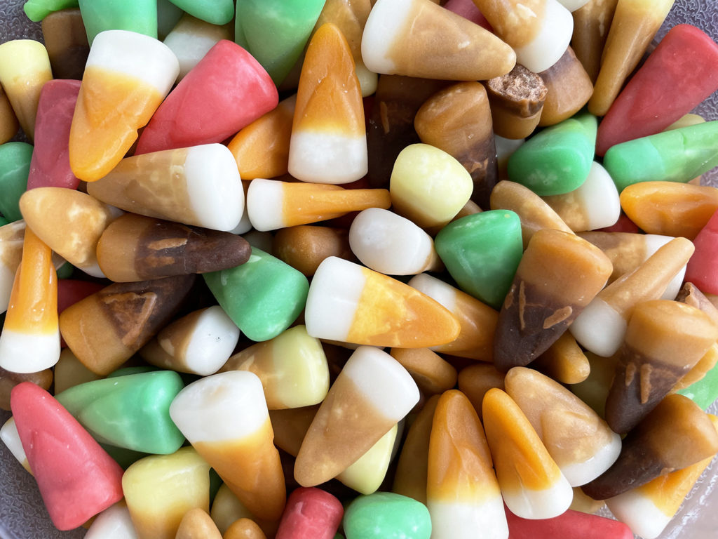 Brach's Turkey Dinner Candy Corn That Guy on TV